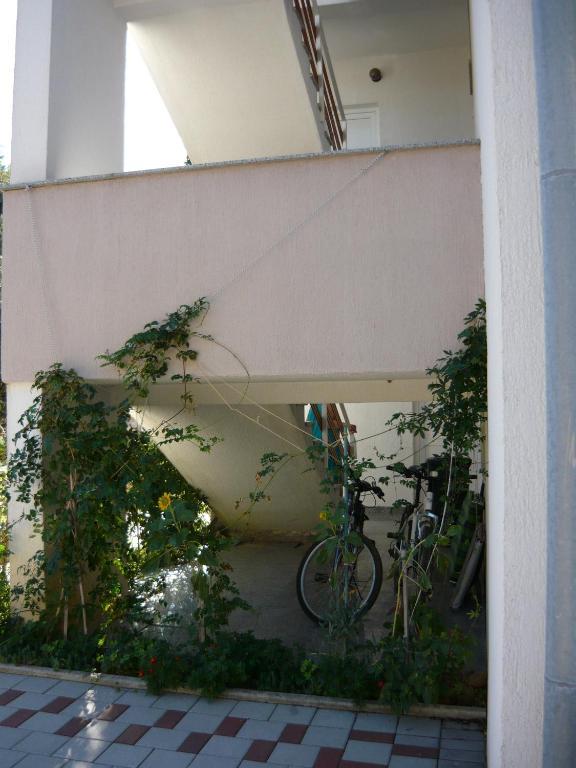Apartments Dokovic Barbat na Rabu Exterior foto